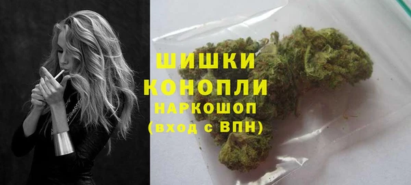 стафф Лабытнанги