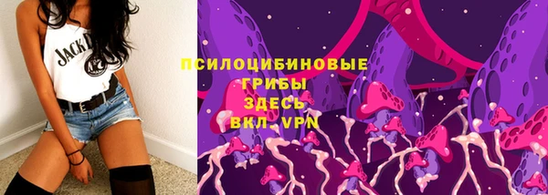 стафф Лабытнанги