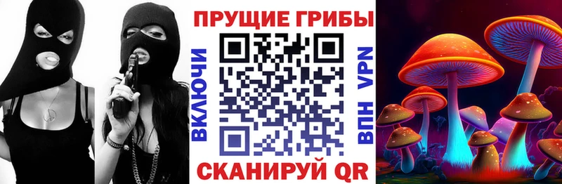 Псилоцибиновые грибы Psilocybine cubensis  omg онион  Ачхой-Мартан 