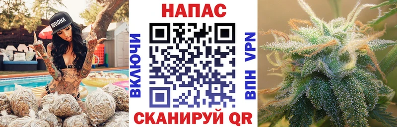 Шишки марихуана AK-47  купить наркотики цена  Ачхой-Мартан 